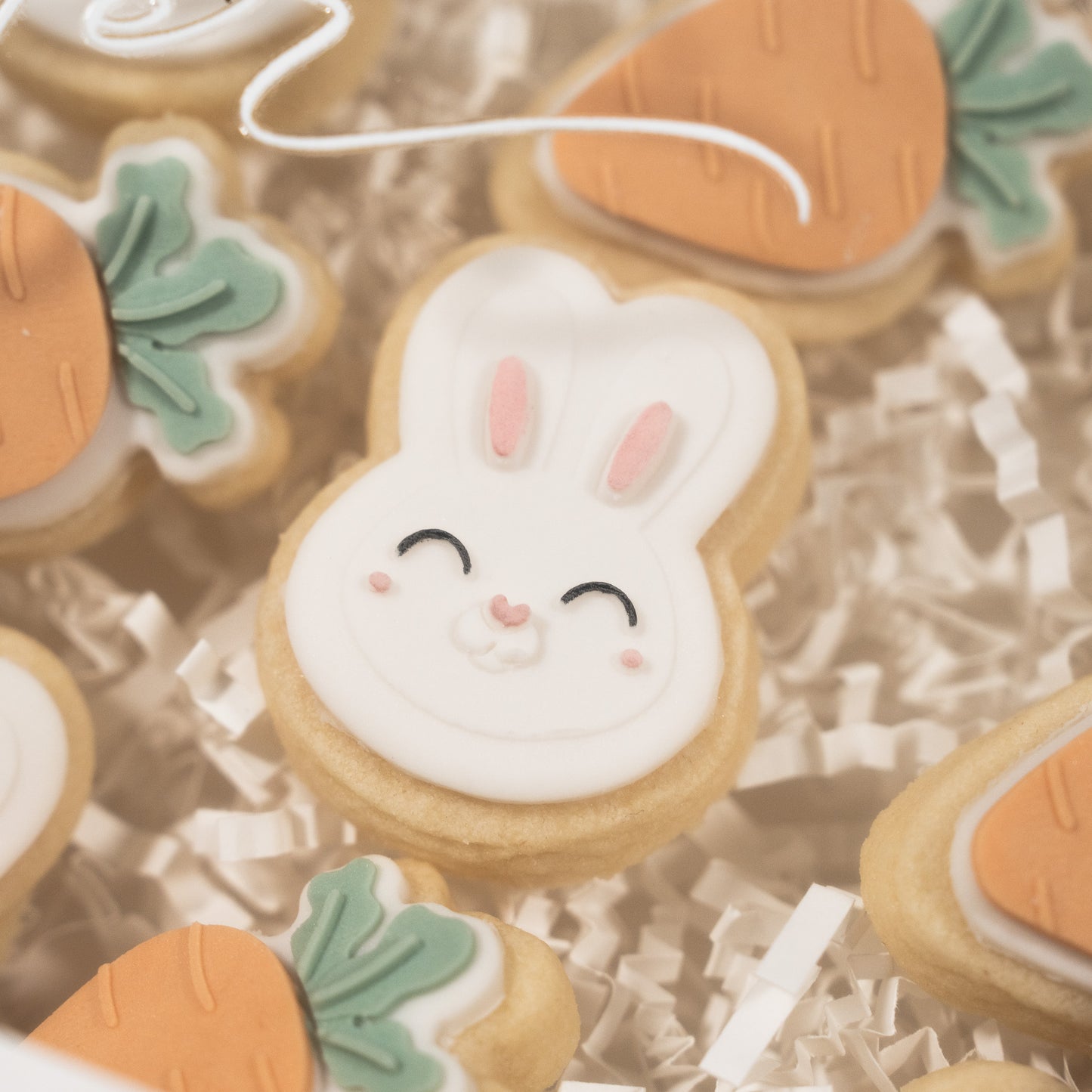 Deluxe Egg Hunting Minis