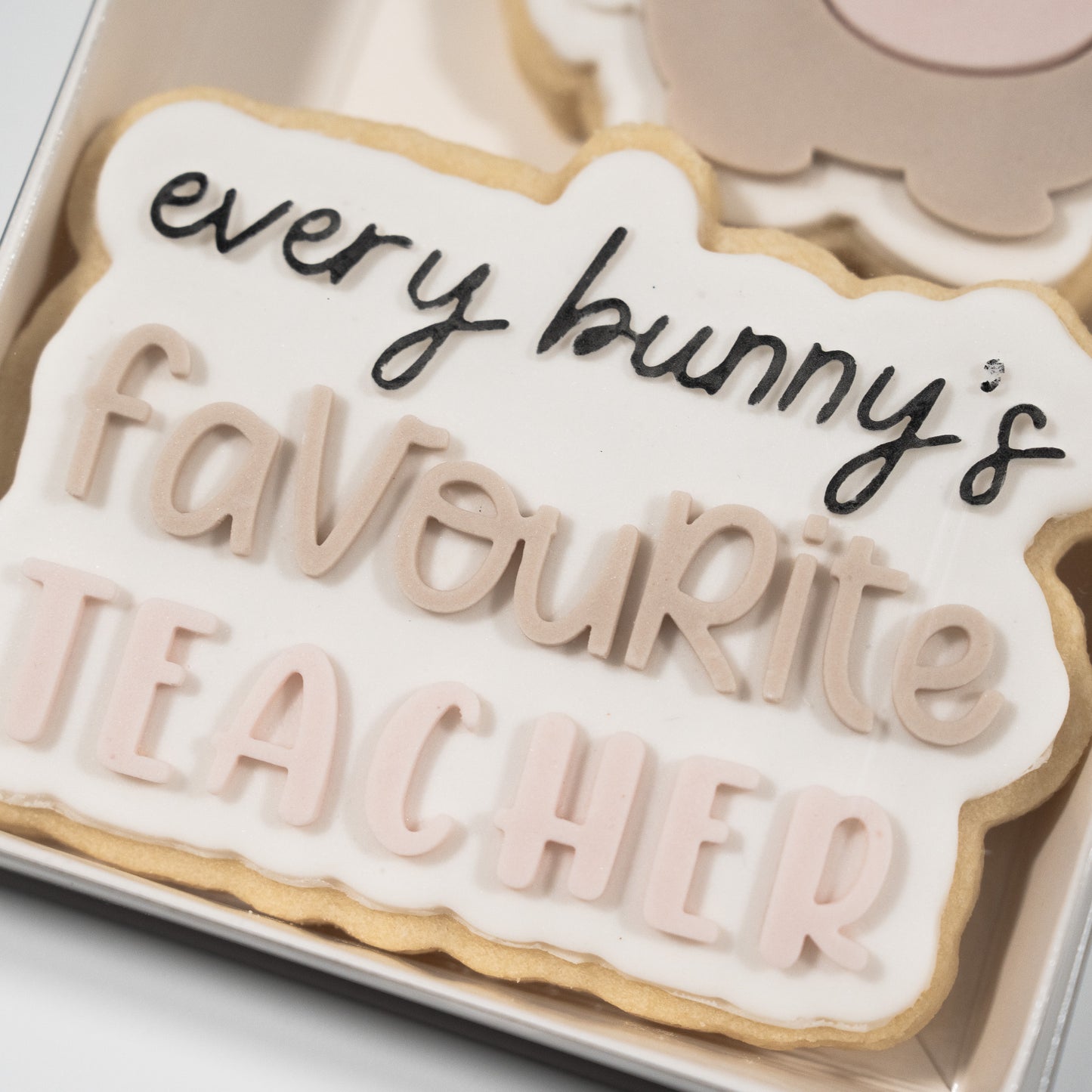 Favourite Teacher