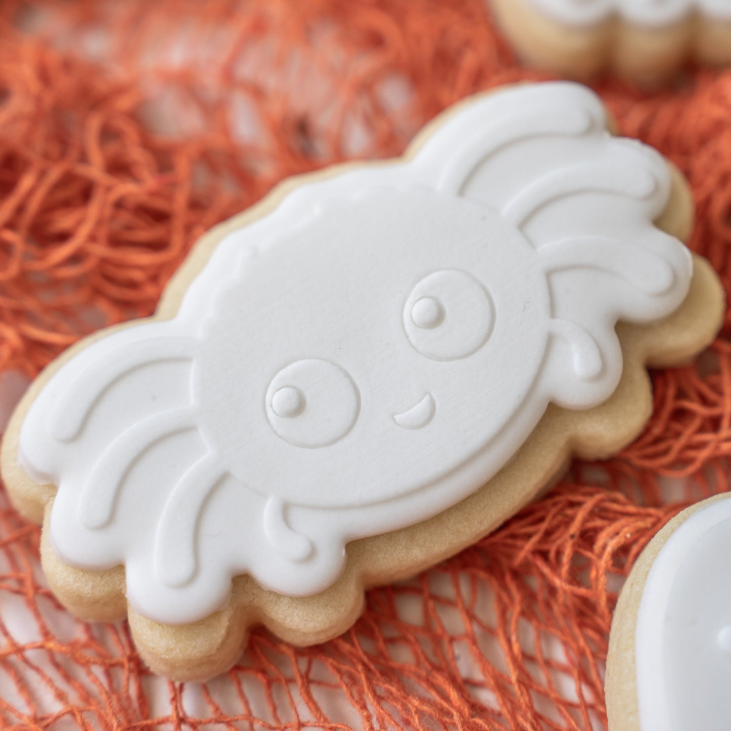 Paint Your Own Box Of Boo's