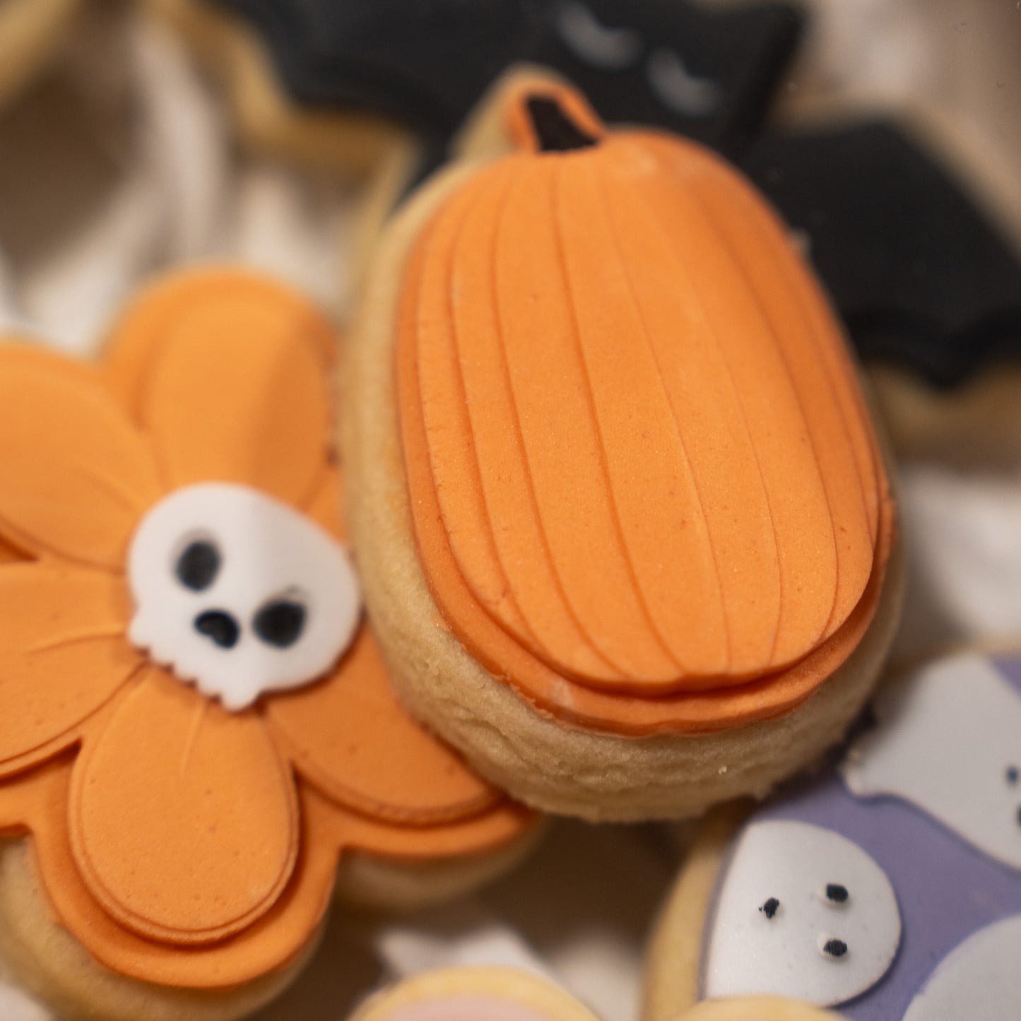 Trick or Treat Minis