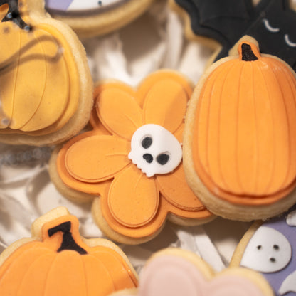 Trick or Treat Minis