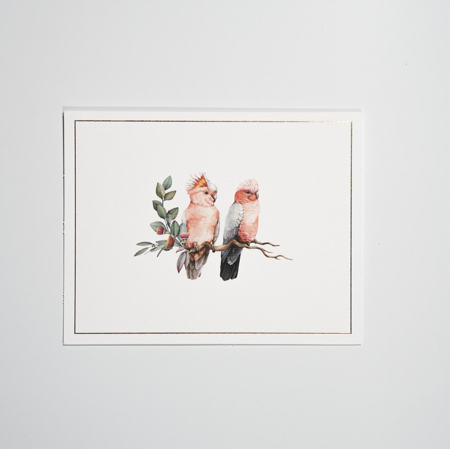 Card #2
