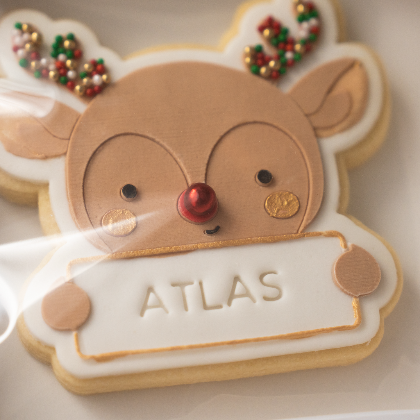 My Very Own Reindeer