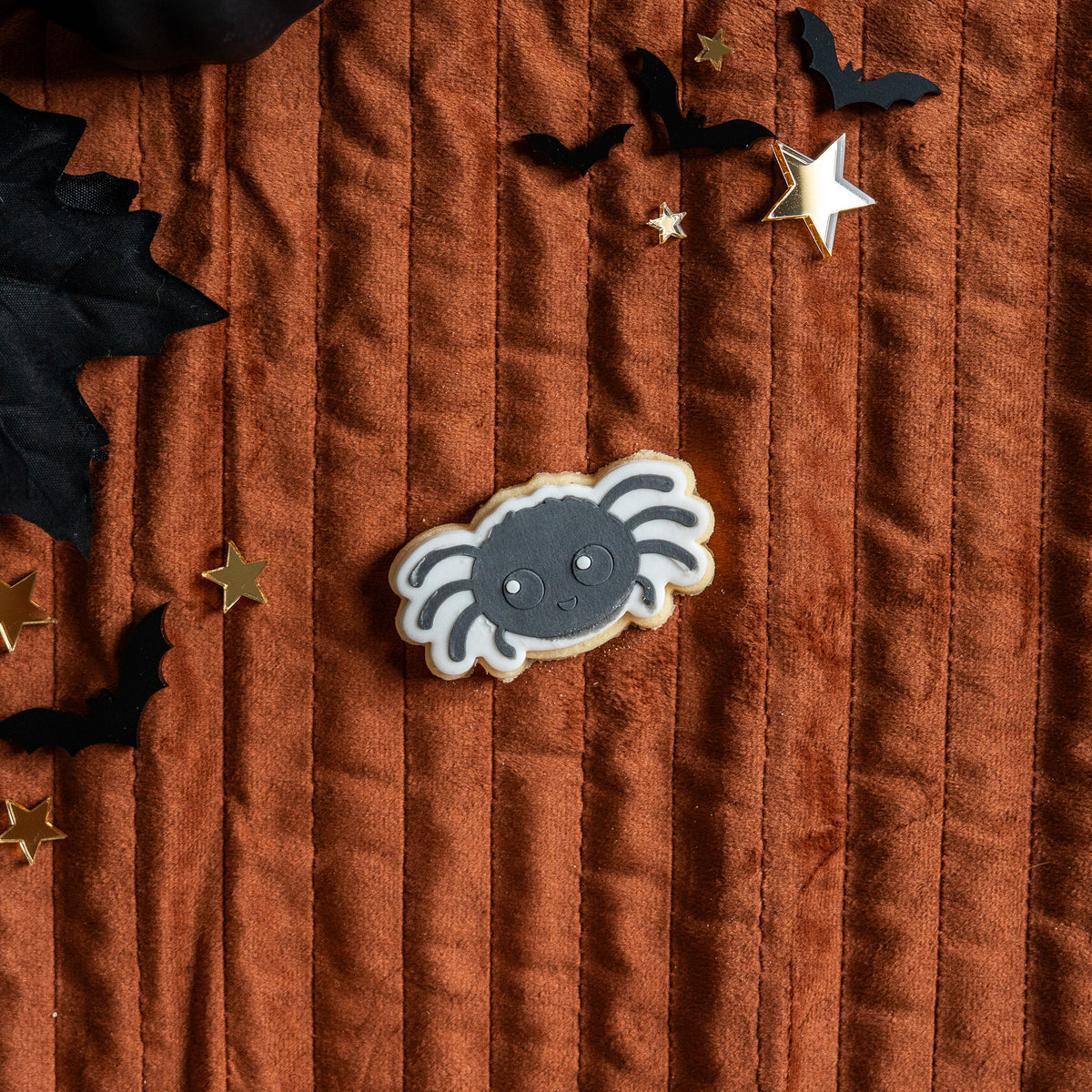 Spider