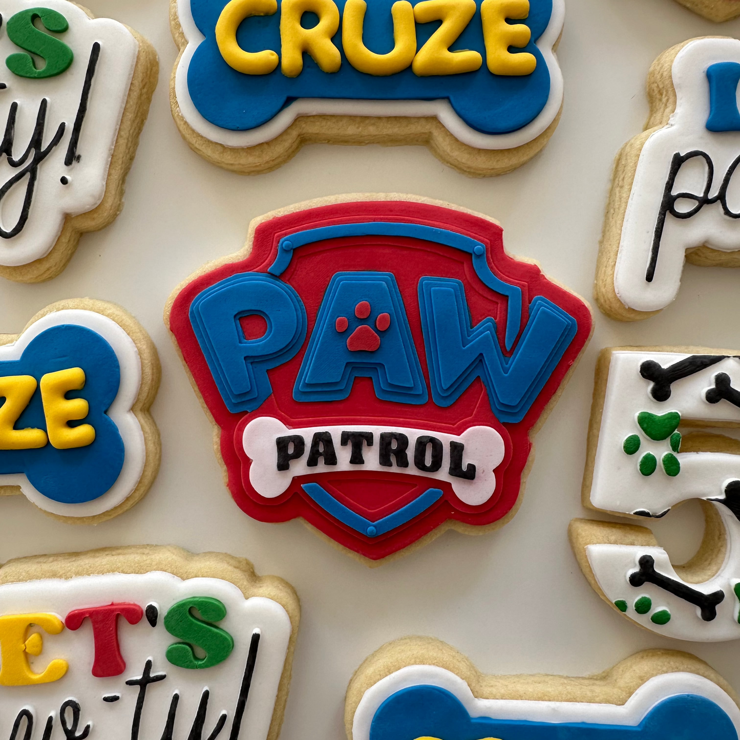 Paw Patrol Pawty