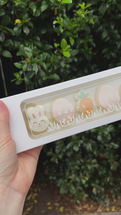 Spring Minis